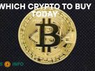 Crypto Buy Today