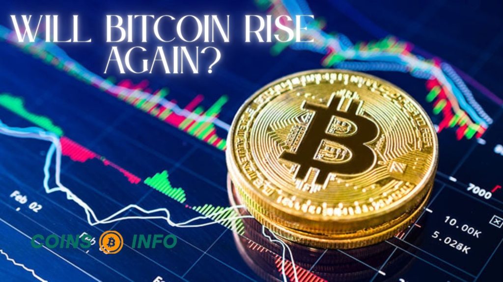 Bitcoin Rise Again